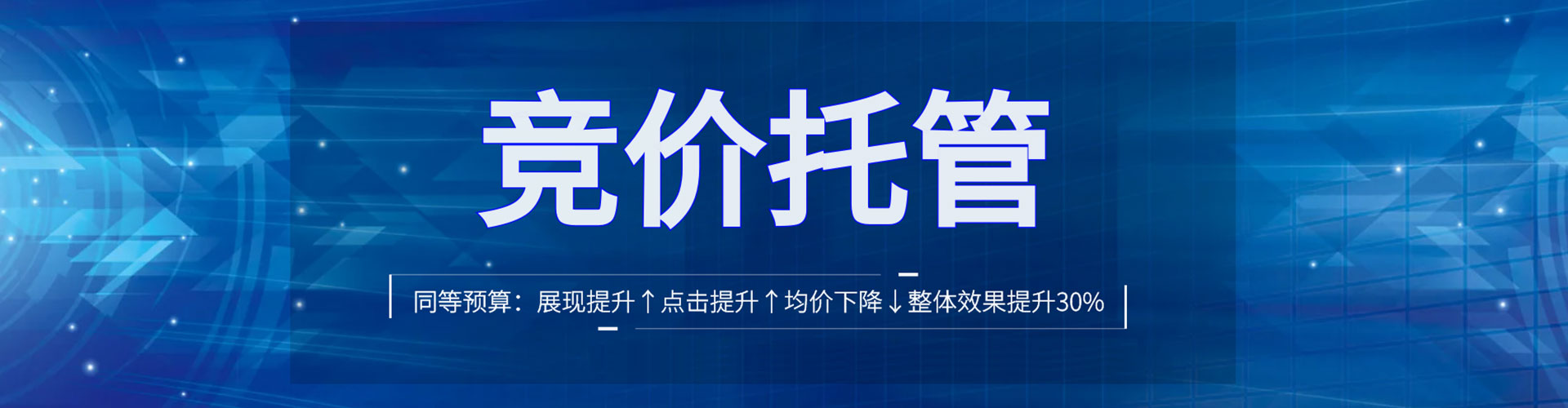 大树百度竞价代理